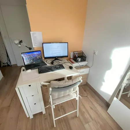 Apartment Modern And Well Done Flat Geneva - Self Check-in